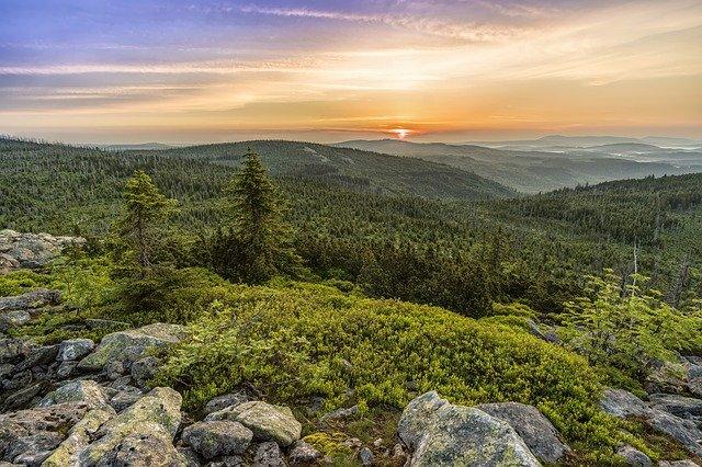 Bayrischer Wald