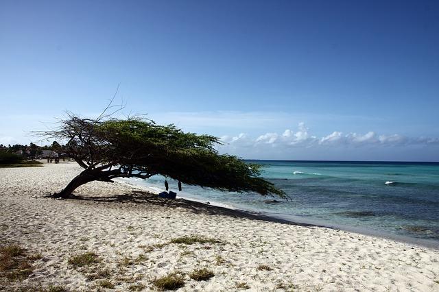 Aruba