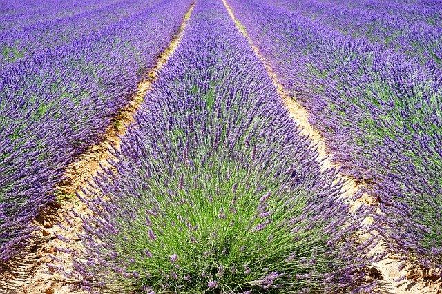 Provence