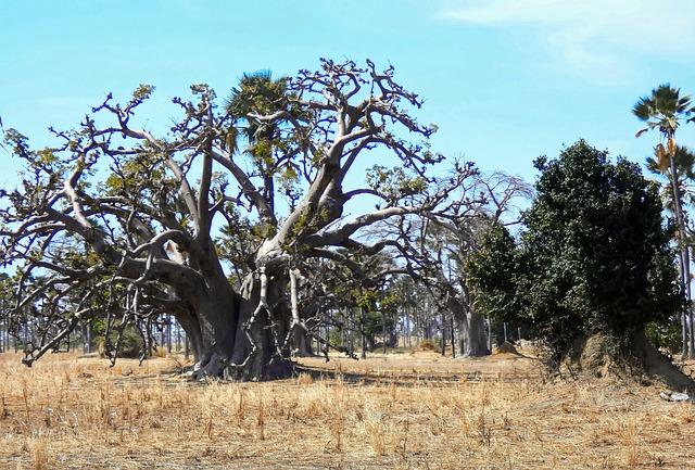 Senegal