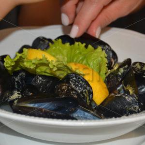 Food020 – moules - Whomp.de